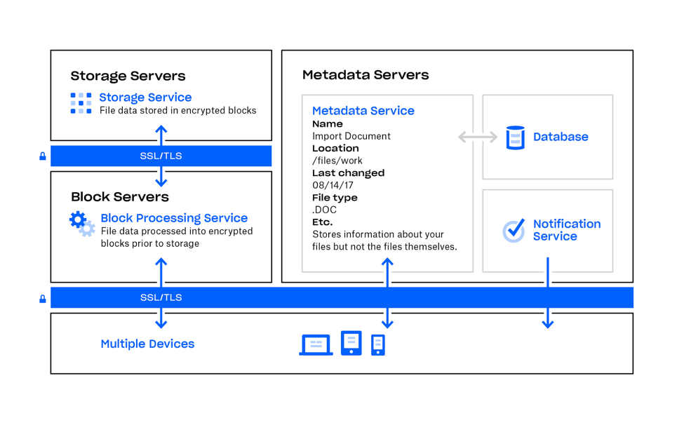 dropbox business support number